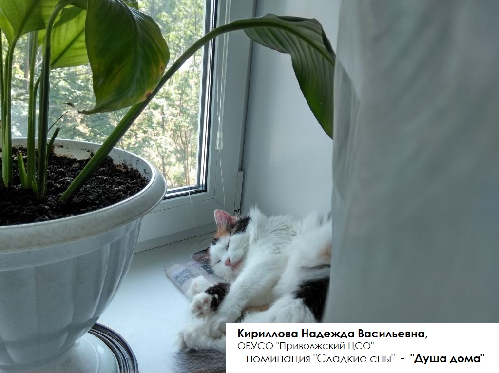 Кириллова Н.В..jpg